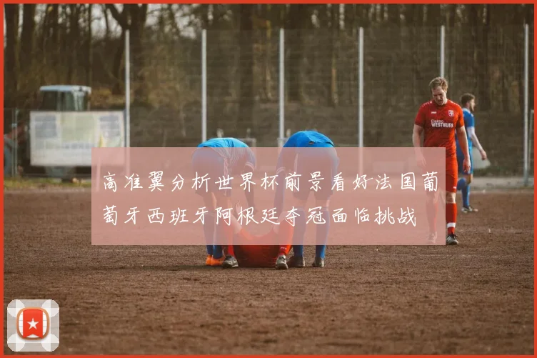 高准翼分析世界杯前景看好法国葡萄牙西班牙阿根廷夺冠面临挑战